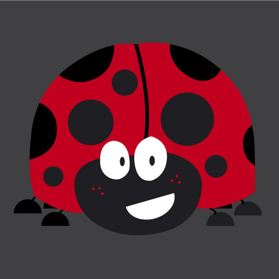 Ladybird 0.8m x 0.8m