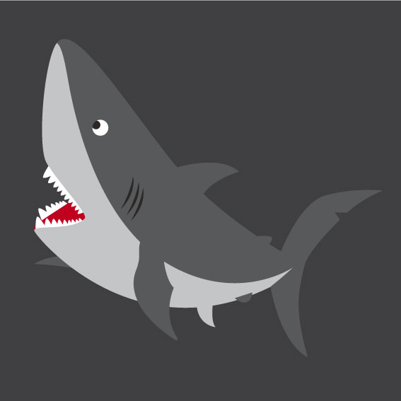 Shark 1m x 1m