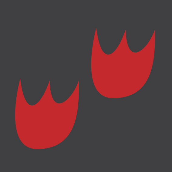 Duck Print 0.3m x 0.3m