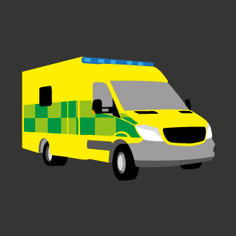 NEW Ambulance 1m