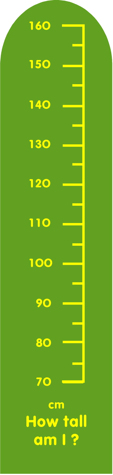 How Tall Am I In Feet Quiz
